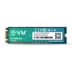 EVM Internal SSD 256GB M.2 - Image 2