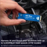 WD SSD 500GB NVMe 2280 Blue - Image 2